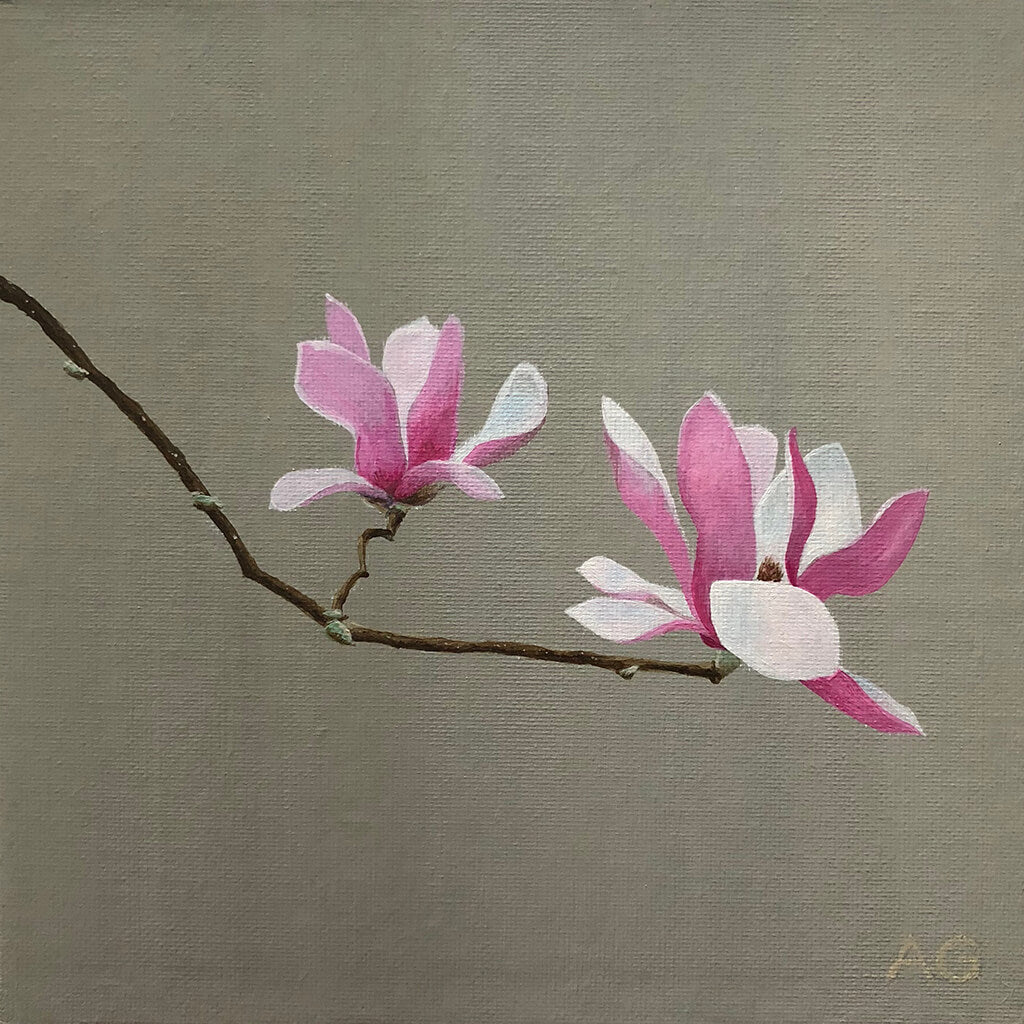 Pink Magnolia Flowers Original Acrylic Painting by Amanda Gosse