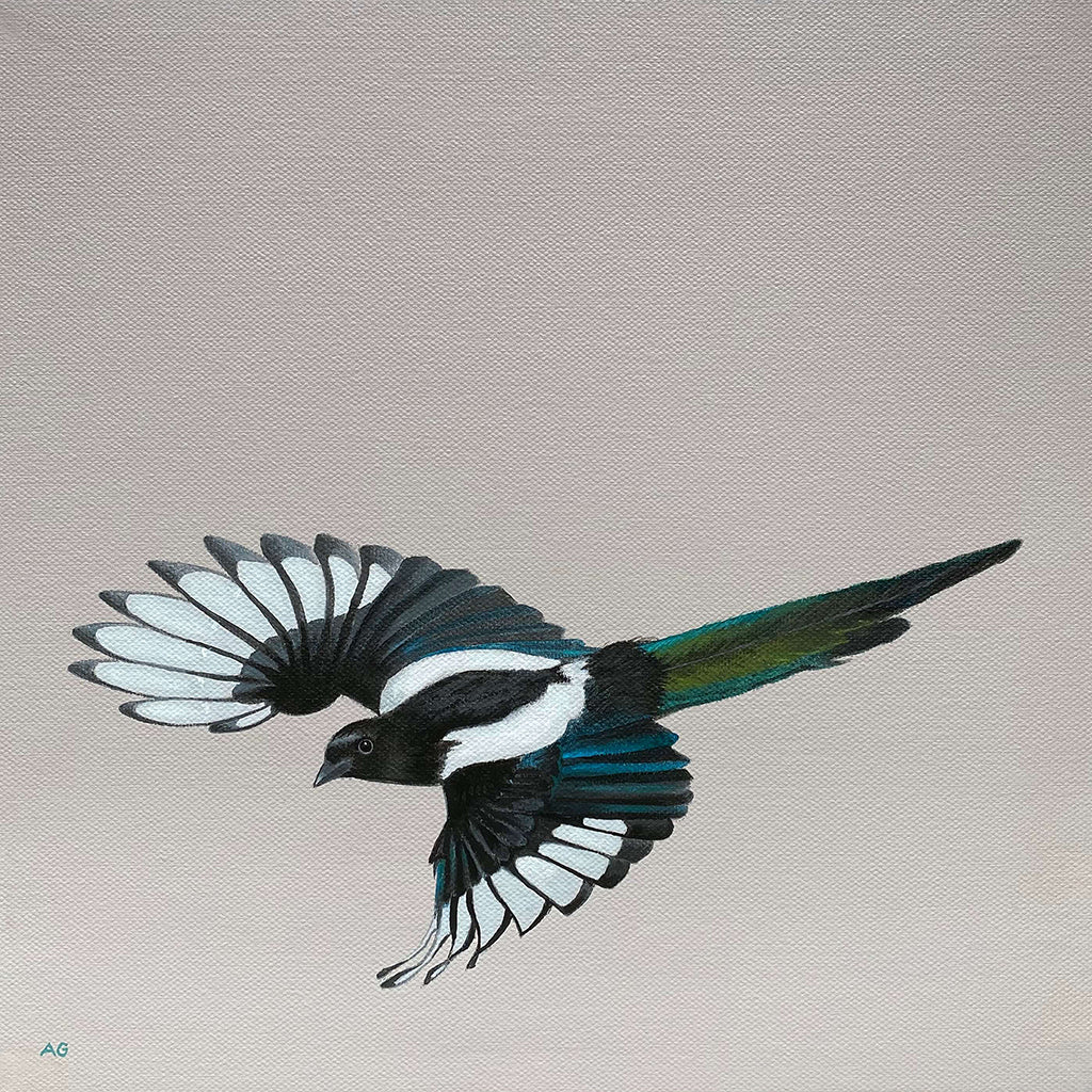 Magpie original painting by Amanda Gosse, one for sorrow, two for joy pied corvid bird acrylic on canvas