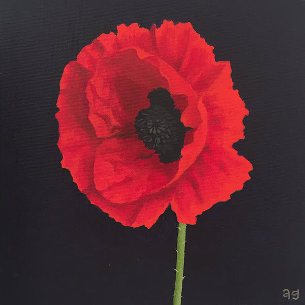 Acrylic painting on canvas board original artwork of a red poppy flower by artist Amanda Gosse