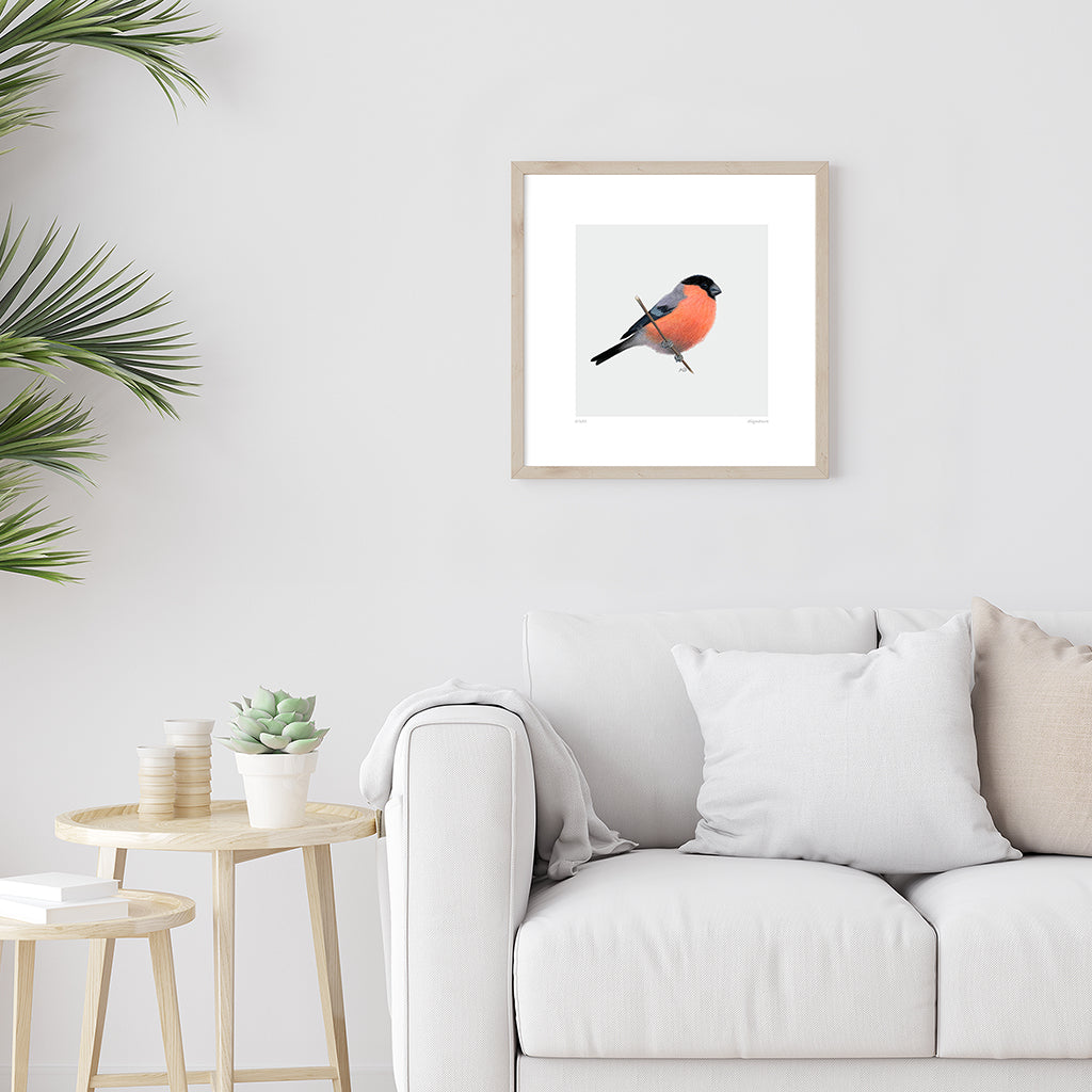 A bird giclée fine art print on paper of a Bullfinch. Image shows the print framed and in a room setting.